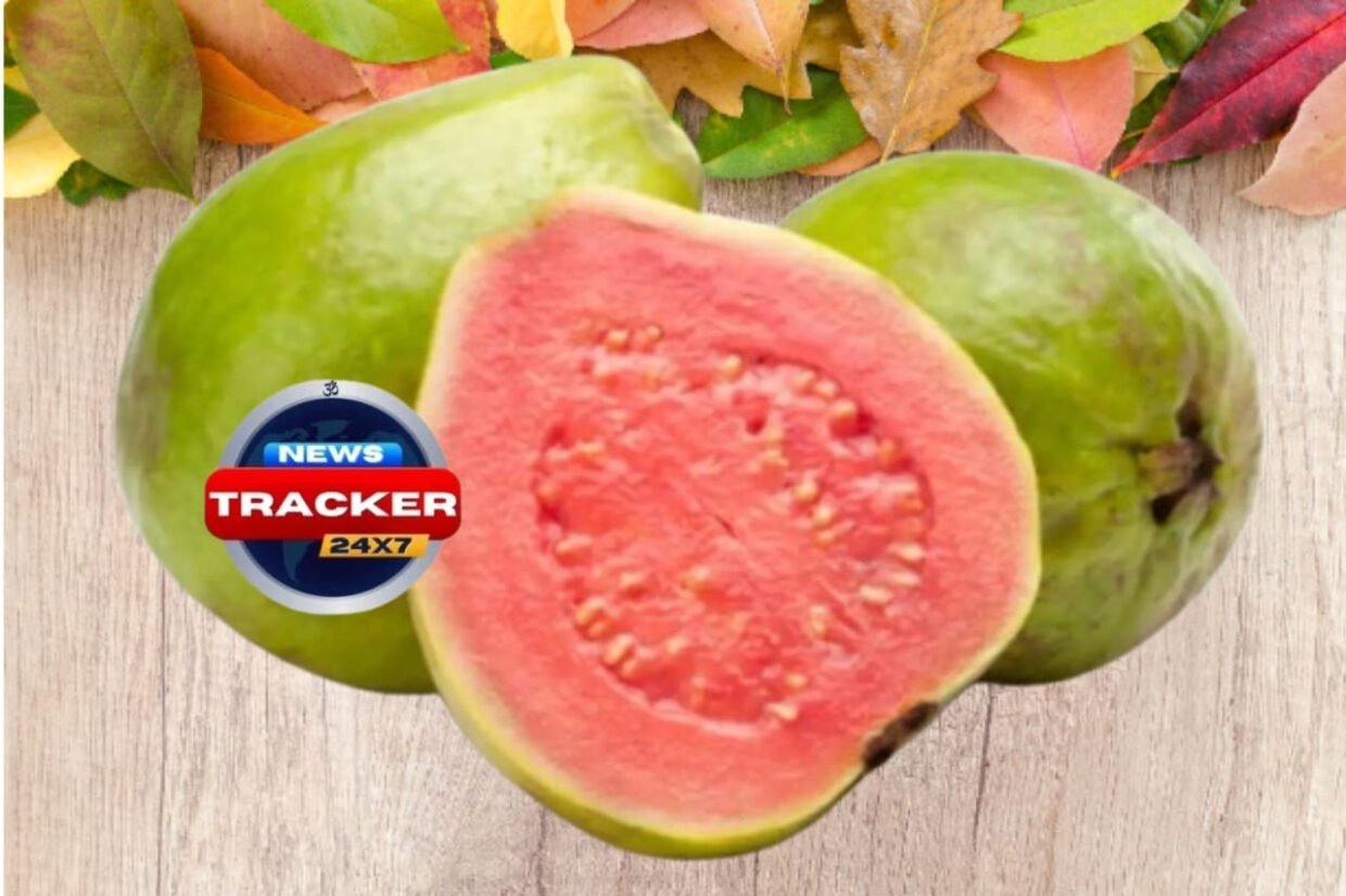 Amrud (Guava) is considered as a powerful fruit for better health.