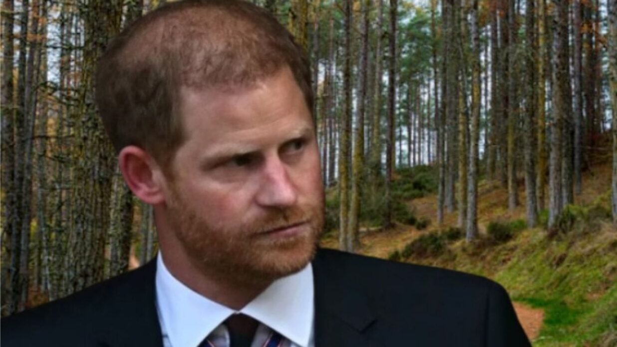 Prince Harry Condemns Trump’s Statements on Afghanistan,'Served There, Lost Friends'