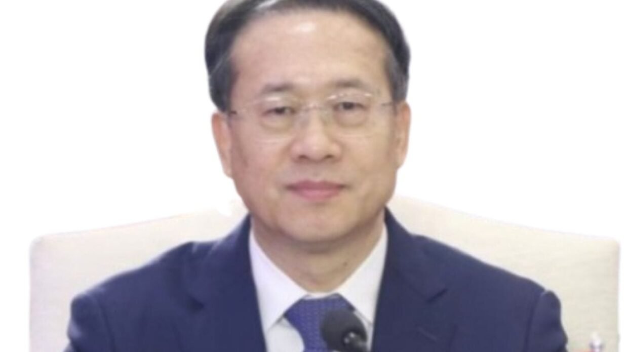 Ma Zhaoxu Represents China at BRICS Sherpa Talks in New Delhi