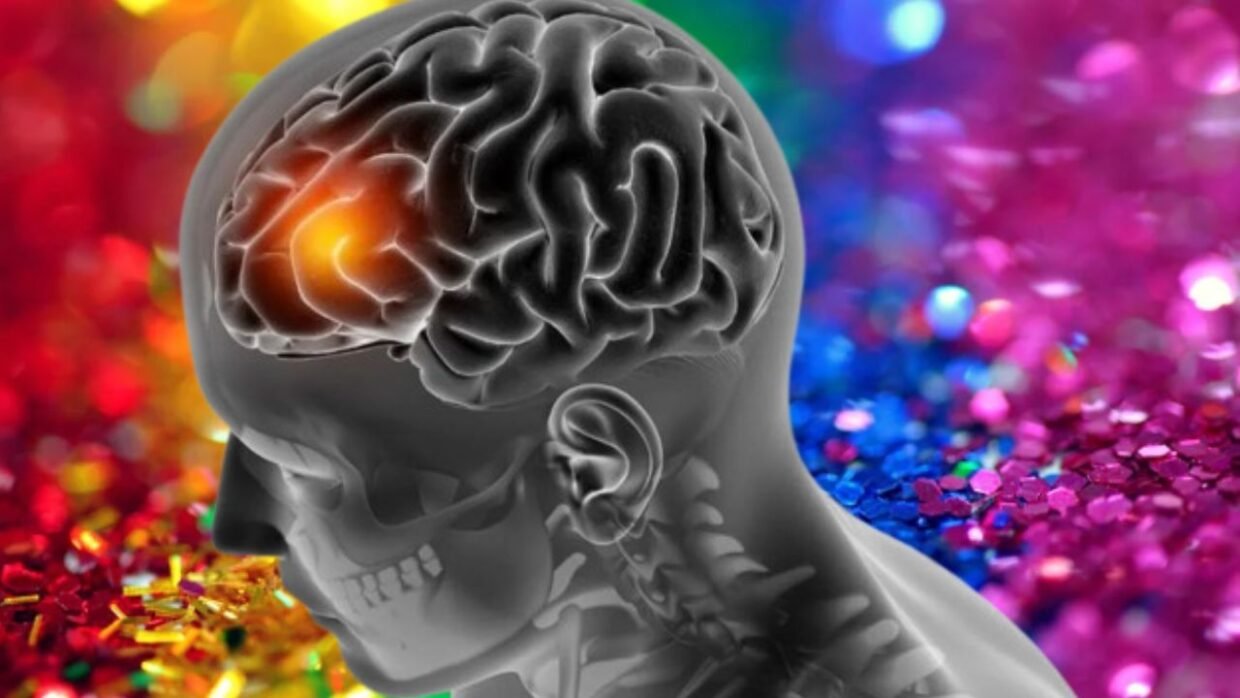 Brain Health Warning: Sleep Loss & Stress Damage Mind — Small Habits Bring Big Protection