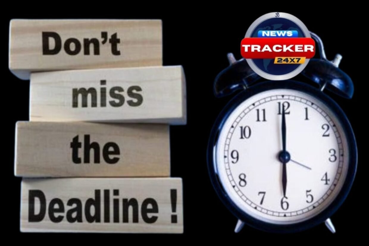 Important Deadlines: If you don't finish these crucial chores by December 31st, the government won't give you another chance.