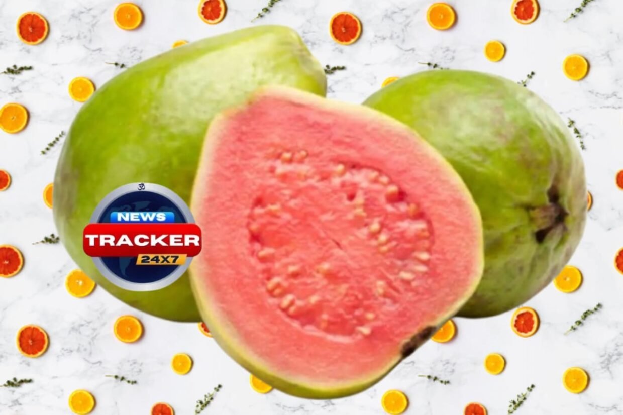 Amrud (Guava) is considered as a powerful fruit for better health.