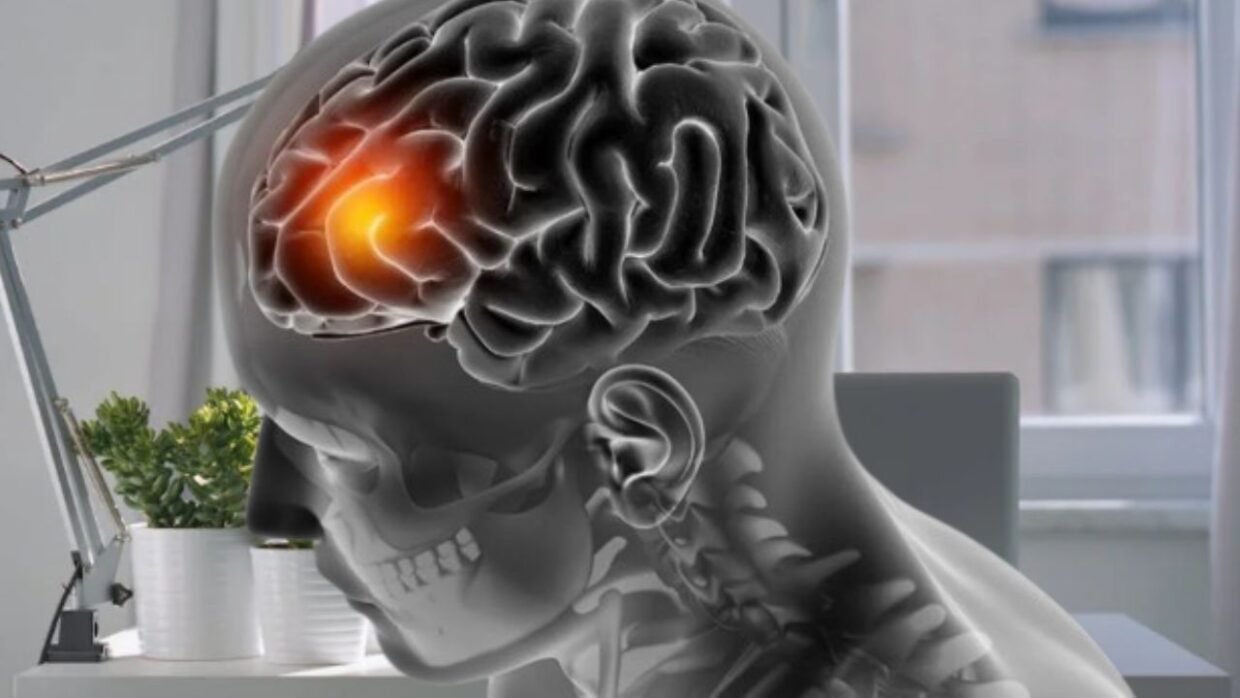 Brain Health Warning: Sleep Loss & Stress Damage Mind — Small Habits Bring Big Protection