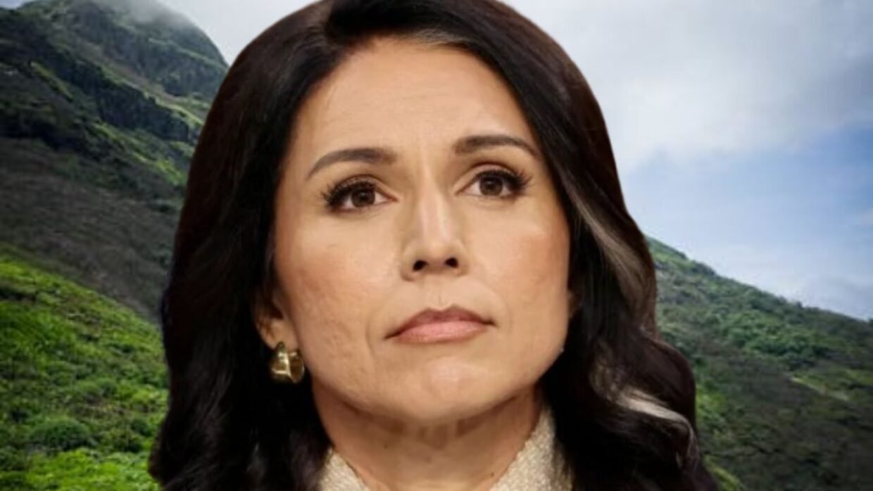 Tulsi Gabbard Steps Down as Trump’s Top Intelligence Chief