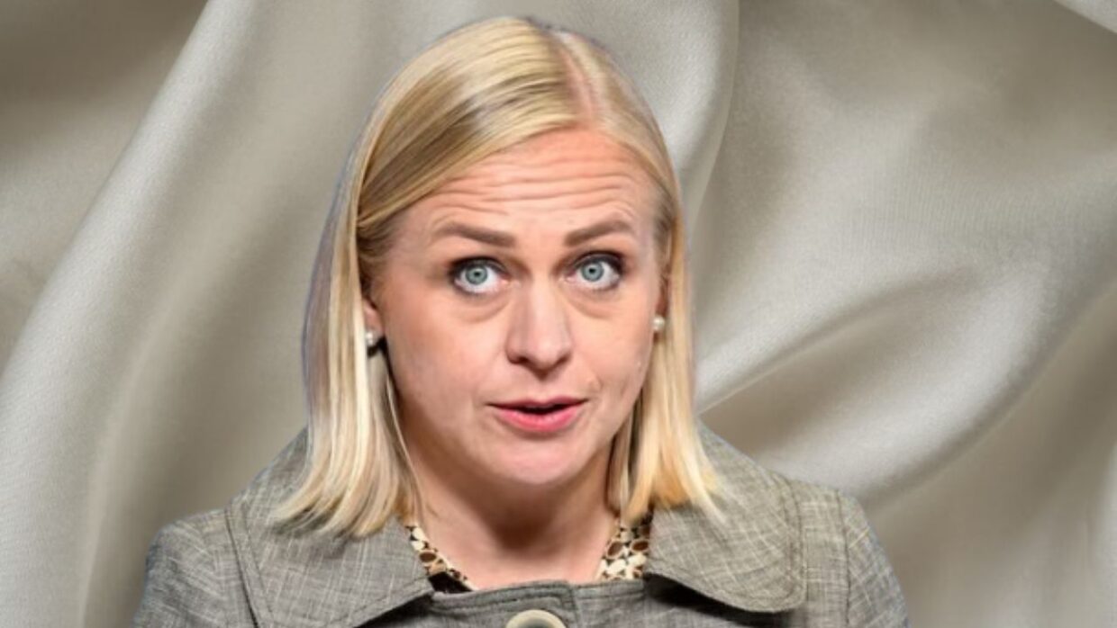 Finland FM Criticises US Move on Russian Oil, Urges Visa Curbs