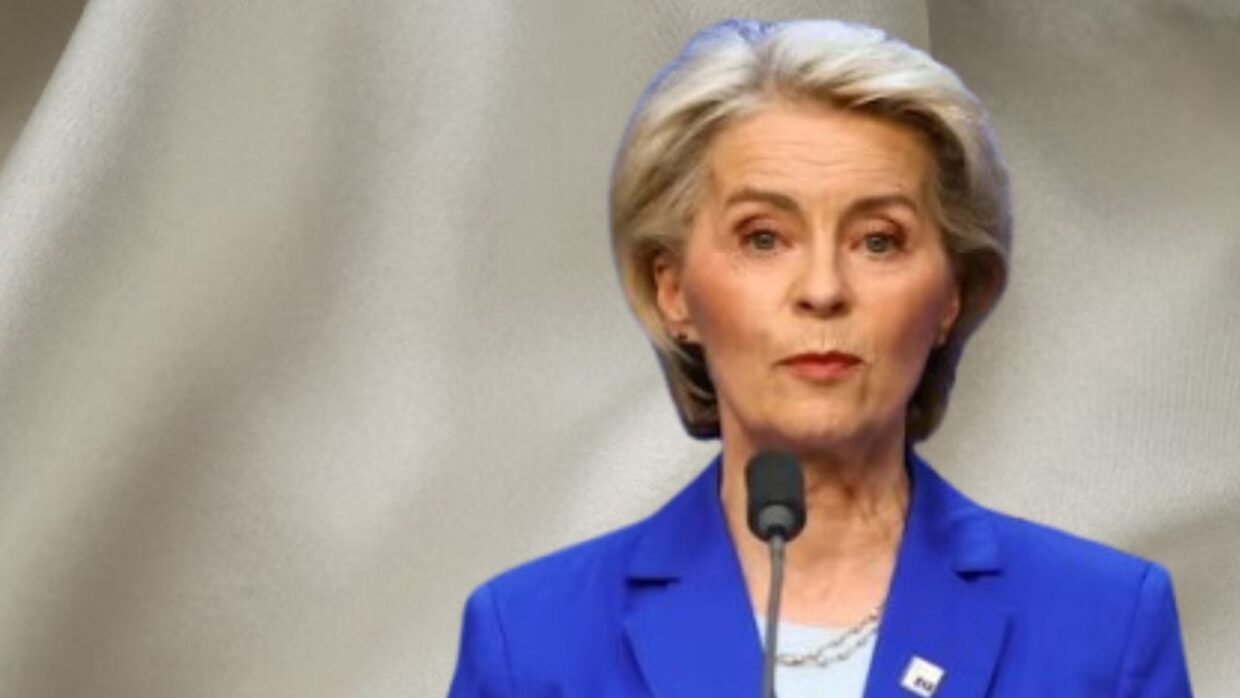 EU Market Protection Plan Targets Cheap Imports, von der Leyen Says